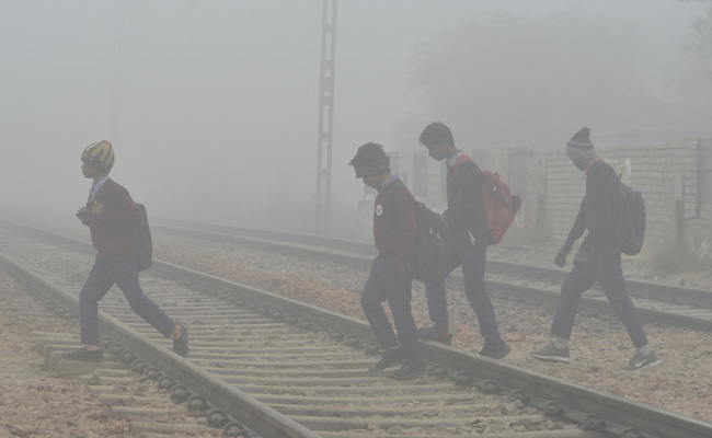 Road Traffic Affected, Trains Delayed Due To Dense Fog in Delhi