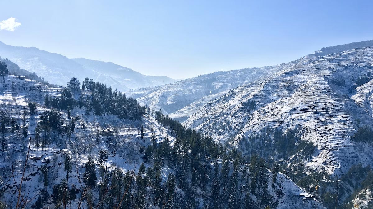 Fresh Snowfall In Jammu And Kashmir's Doda Worries Fruit Growers