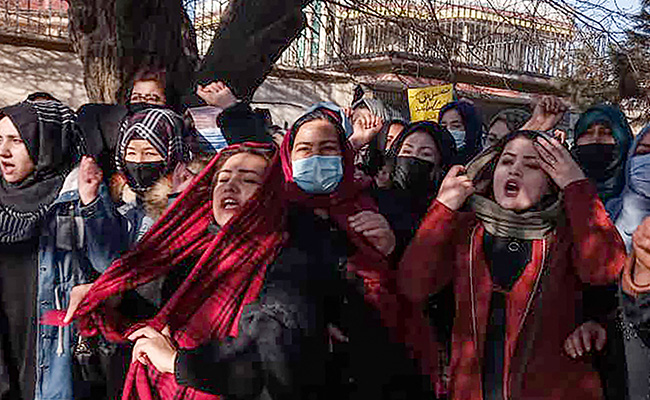 35 Afghan Universities Could Collapse After Ban On Women Education: Report