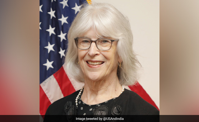 "We Continue To Raise It With India": US Envoy On Communal Rhetoric In Election Campaign