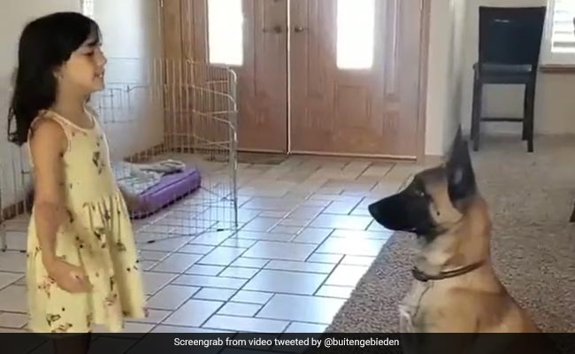 Watch: Little Girl Playing Hide And Seek With Pet Dog Will Warm Your Heart