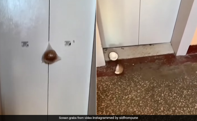 नारियल फोड़ने के लिए शख्स ने किया अनोखा जुगाड़, लिफ्ट में लटकाकर किया कुछ ऐसा, देखकर लोगों ने पकड़ा सिर