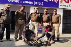 यूपी में 2 कछुआ तस्कर गिरफ्तार, 44 दुर्लभ प्रजाति बरामद यूपी में 2 कछुआ तस्कर गिरफ्तार, 44 दुर्लभ प्रजाति बरामद
