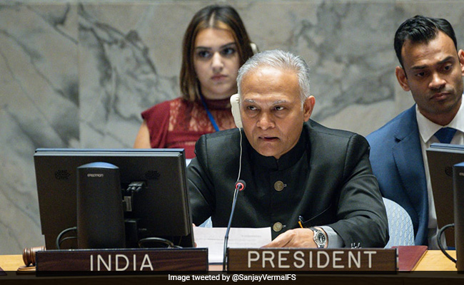 Days When Afghanistan Used By Others As "Strategic Depth" Are Over: India At UN