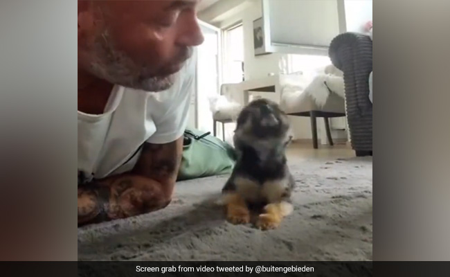 Wholesome Video Shows A Puppy Crawling To Kiss Its Human