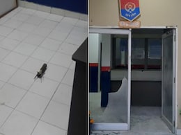 पंजाब : RPG हमले में दो नाबालिग सहित 6 लोग पकड़े, DGP बोले - कनाडा में रह रहा गैंगस्टर है मास्टरमाइंड पंजाब : RPG हमले में दो नाबालिग सहित 6 लोग पकड़े, DGP बोले - कनाडा में रह रहा गैंगस्टर है मास्टरमाइंड