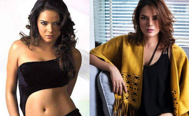 ‘झलक दिखला जा’ में इमरान हाशमी की बेहद खूबसूरत हीरोइन उदिता गोस्वामी का बदल गया है पूरा लुक, लेटेस्ट PHOTOS देख कर फैंस  हुए हैरान ‘झलक दिखला जा’ में इमरान हाशमी की बेहद खूबसूरत हीरोइन उदिता गोस्वामी का बदल गया है पूरा लुक, लेटेस्ट PHOTOS देख कर फैंस  हुए हैरान