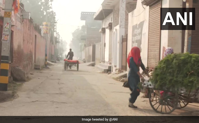 Voters In Delhi Village Say Never Got Help From Civic Body, Boycott Polls