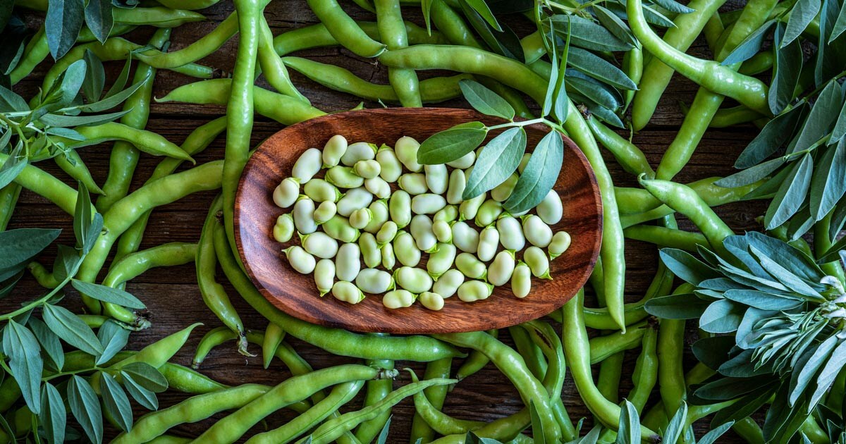 Health Benefits Of Beans Know All About Health Benefits Of Beans at NDTV Food