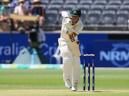David Warner Has No Plans To Retire From Test Cricket: Agent