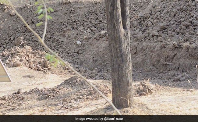 Internet Has Been Racking Its Brains In Trying To Find The Hidden Leopard In This Photo