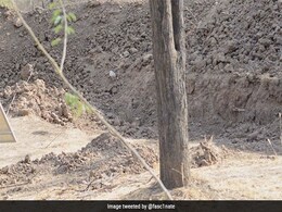 Internet Has Been Racking Its Brains In Trying To Find The Hidden Leopard In This Photo Internet Has Been Racking Its Brains In Trying To Find The Hidden Leopard In This Photo