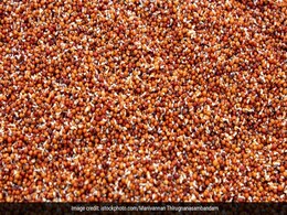 ठंड के मौसम में जरूर खाएं रागी का आटा सेहत के लिए होगा फायदेमंद, यहां जानिए कैसे लाभ पहुंचाएगा ठंड के मौसम में जरूर खाएं रागी का आटा सेहत के लिए होगा फायदेमंद, यहां जानिए कैसे लाभ पहुंचाएगा