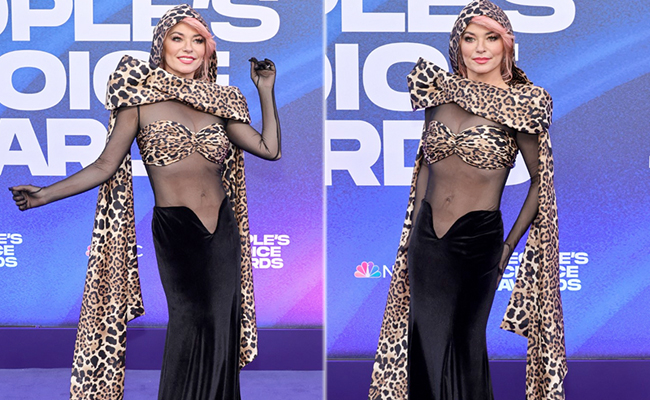 Shania Twain, Your Animal Print Sheer Black Gown Definitely Does "Impress Me Much"