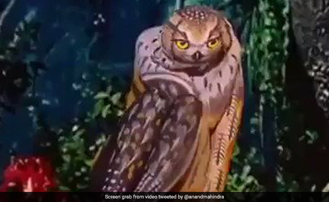 "Friday In Forest": Anand Mahindra's Latest Post Will Put You In Awe