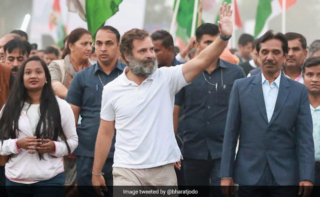 "If AAP Wasn't There, We Would Have Beaten BJP In Gujarat": Rahul Gandhi