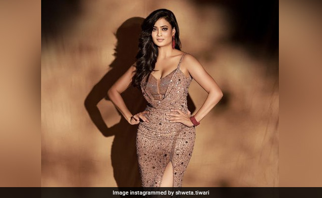 एम्बेलिश्ड गाउन में Shweta Tiwari का ग्लैम लुक है बेहद दमदार, आप भी कर सकती हैं उनके लुक को रिक्रिएट