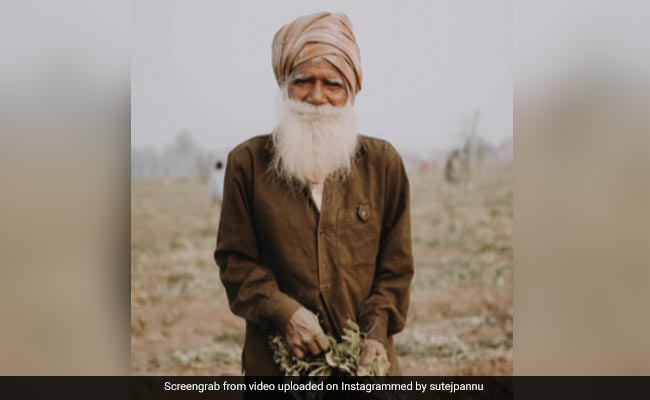 Video Of Farmer Fixing His Moustache For Photograph Wins Hearts Online