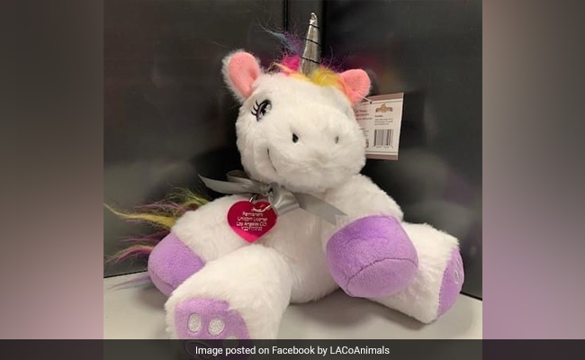 6-Year-Old Girl In US Gets First-Ever License To Own A Unicorn