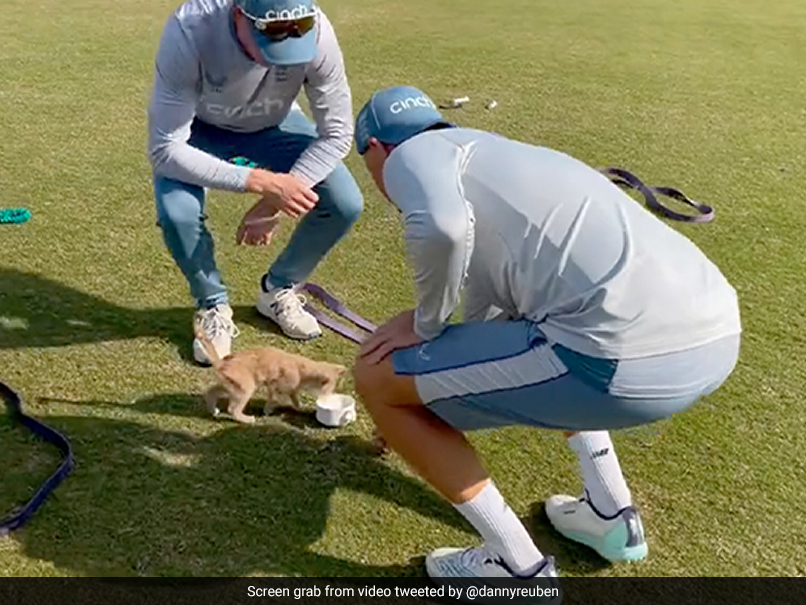 Watch: Joe Root Tends To Special Visitor In England Training Session In Pakistan