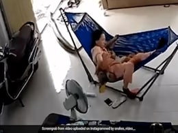 बच्चे के साथ झूले में लेटी थी मां, पास ही छिपा बैठा था विशाल सांप, फन फैलाकर झूले पर लगा चढ़ने और फिर... बच्चे के साथ झूले में लेटी थी मां, पास ही छिपा बैठा था विशाल सांप, फन फैलाकर झूले पर लगा चढ़ने और फिर...