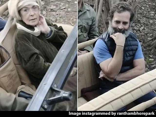 Sonia, Rahul Gandhi Spotted Enjoying Ranthambore Jeep Safari