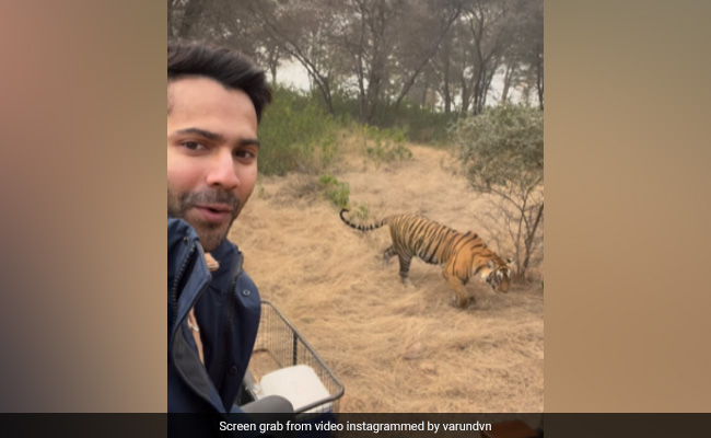 Fantastic Beasts And Where To Find Them - Try Varun Dhawan's New Post