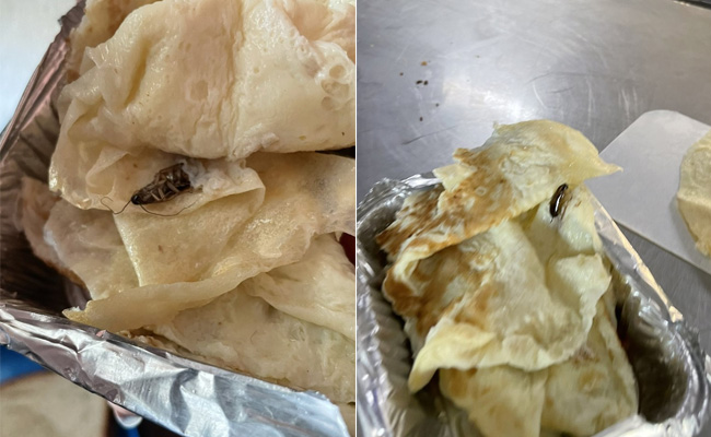 Rajdhani Express में ढाई साल की बच्ची के लिए परोसे गए ऑमलेट में मिला कॉकरोच, मचा बवाल