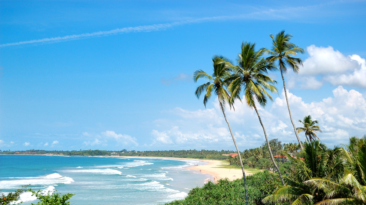 Head To These 5 Travel Destinations For A Christmas And New Year's Break