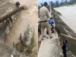 जान जोखिम में डालकर शख्स ने बचाई बांध में फंसे डॉगी की जान, देखें Video जान जोखिम में डालकर शख्स ने बचाई बांध में फंसे डॉगी की जान, देखें Video