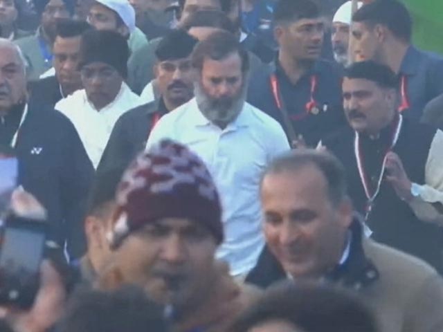 Bharat Jodo Yatra: Rahul Gandhi Resumes Footmarch From Haryana's Nuh