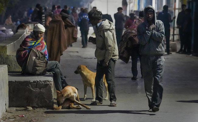 Weather Department Predicts Below Normal Temperatures In January