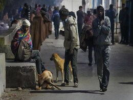 Cold Wave Hits Odisha, Temperature Drops To 8.4 Degrees Celsius Cold Wave Hits Odisha, Temperature Drops To 8.4 Degrees Celsius