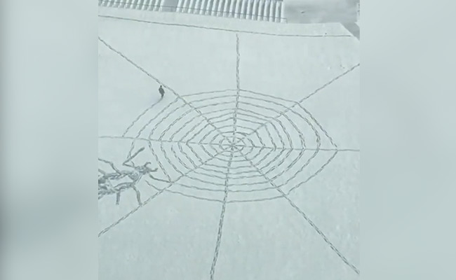 "Someone Is Bored": Video Shows Man Weaving A Spiral Web On Snowfield