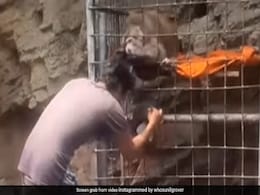 सुनील ग्रोवर ने शेयर किया मजेदार VIDEO, बंदर ने शख्स के कुछ यूं खींचे बाल, लोग बोले- गजब बेइज्जती हुई भाई ! सुनील ग्रोवर ने शेयर किया मजेदार VIDEO, बंदर ने शख्स के कुछ यूं खींचे बाल, लोग बोले- गजब बेइज्जती हुई भाई !