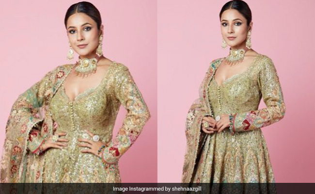 Shehnaaz Gill Sets Major Ethnic Goals With This Beautiful Gharara Set