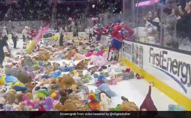 Thousands Of Teddy Bears Thrown Onto Ice Rink At Hockey Game in US. Here's Why