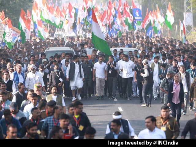 Rahul Gandhi's Bharat Jodo Yatra Resumes After Ranthambore Break