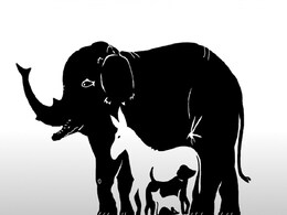 इस तस्वीर में कितने जानवर मौजूद हैं, कोई 3 कहता है तो कोई 5, सही जवाब देकर बने स्मार्ट इस तस्वीर में कितने जानवर मौजूद हैं, कोई 3 कहता है तो कोई 5, सही जवाब देकर बने स्मार्ट