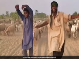 Video Of Shepherd Grooving To Govinda's <i>'Dulhe Raja'</i> Song Goes Viral Video Of Shepherd Grooving To Govinda's <i>'Dulhe Raja'</i> Song Goes Viral
