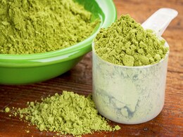 सेहत के लिए बेहद फायदेमंद है मोरिंगा पाउडर, जानिए घर पर Moringa Powder बनाने का तरीका    सेहत के लिए बेहद फायदेमंद है मोरिंगा पाउडर, जानिए घर पर Moringa Powder बनाने का तरीका