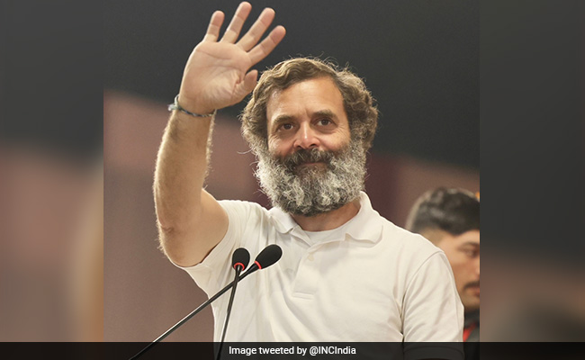 Rahul Gandhi, Asked About Life Partner, Says "Would Prefer Woman Who..."