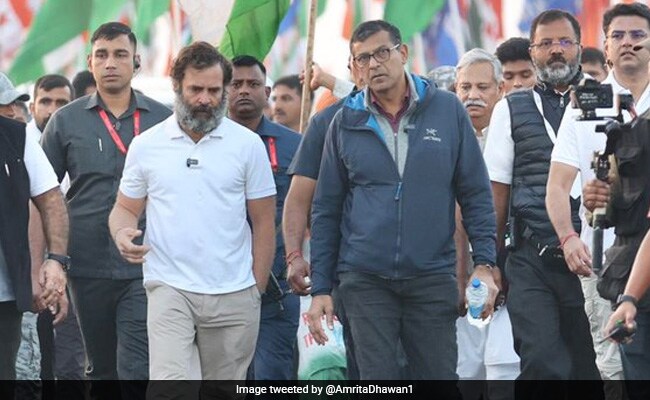 Watch: Raghuram Rajan Joins Rahul Gandhi During Bharat Jodo Yatra