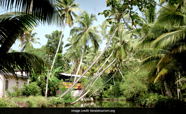 When Water Displaced Natives From Munroe Thuruth, Kerala's 'Sinking Island'