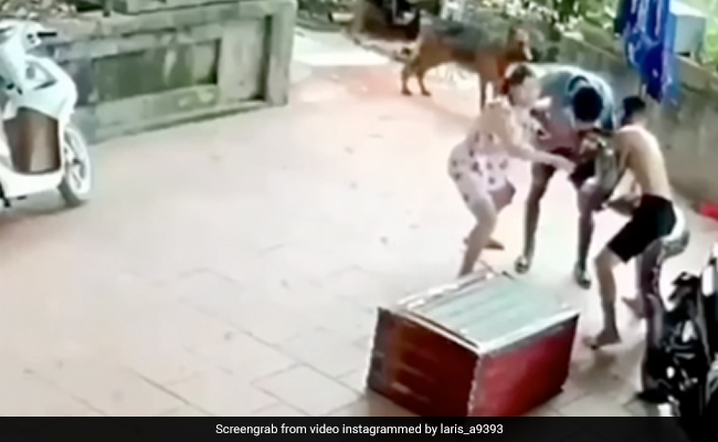 Watch: Huge Python Attacks A Man, Bites Him On Face