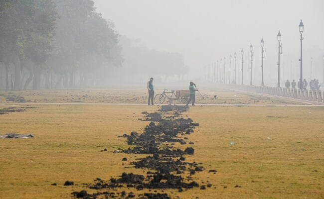 Delhi Gets Relief From Cold, Intense Chill To Return In Early Jan
