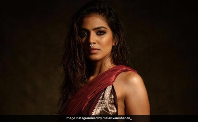 साउथ की इस हसीना के सिजलिंग लुक्स बढ़ा देंगे आपकी धड़कनें, इन तस्वीरों से नजरें हटाना हो जाएगा मुश्किल