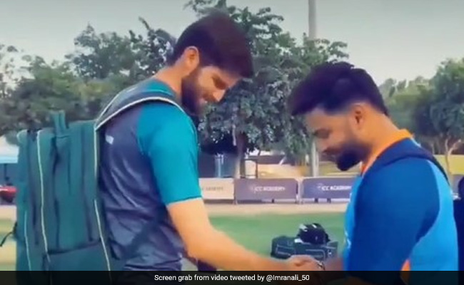 Rishabh Pant के लिए पाकिस्तानी खिलाड़ियों ने की दुआएं, शाहीन अफरीदी, शोएब मलिक ने किए ट्वीट