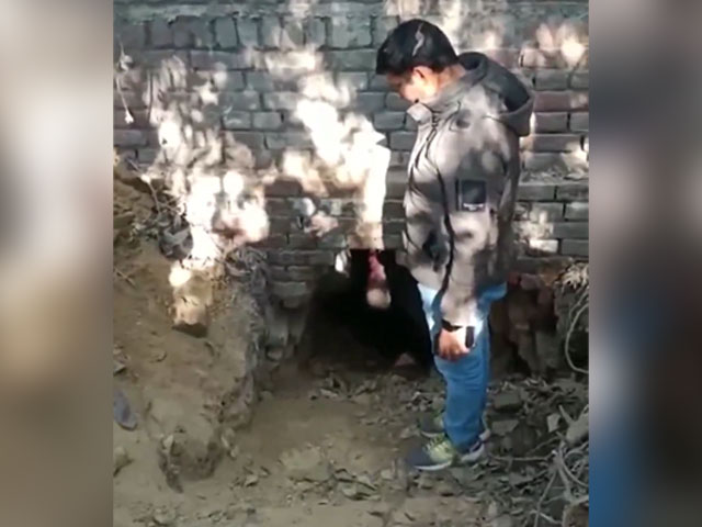 Thieves Dig 10-Foot-Long Tunnel To SBI In Kanpur, Take 1.8 Kg Of Gold