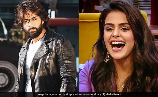 <i>Bigg Boss 16</i>: Shalin Bhanot And Priyanka Choudhary Join Forces Against Sumbul Touqeer In Captaincy Task